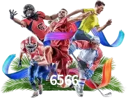 sport 6566